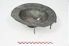 Foto von Bronzebreitrandfußschale (NHMW-PRAE-025213)